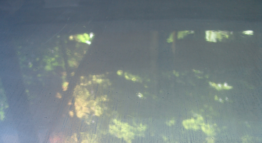 Acer polit abrillantat