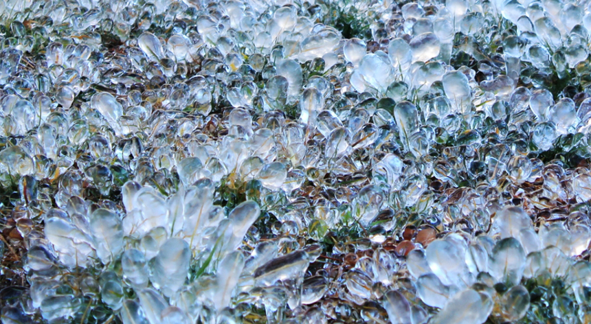 Ice Flowers