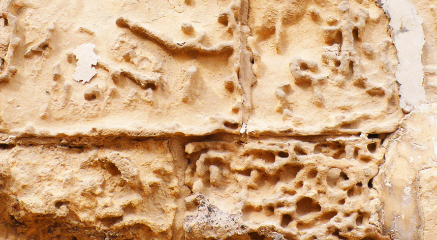 Muro de caliza erosionado